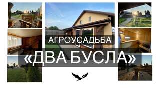 Дома для отпуска Агроусадьба ДВА БУСЛА Malinovka-0